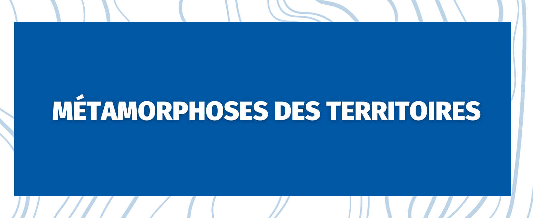 Foire De Châlons Thème 5 : Métamorphose des Territoires