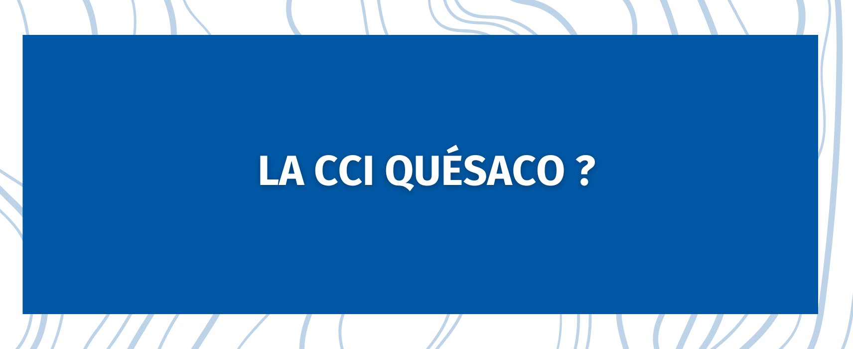 Foire De Châlons Thème 7 : LA CCI QUÉSACO ?