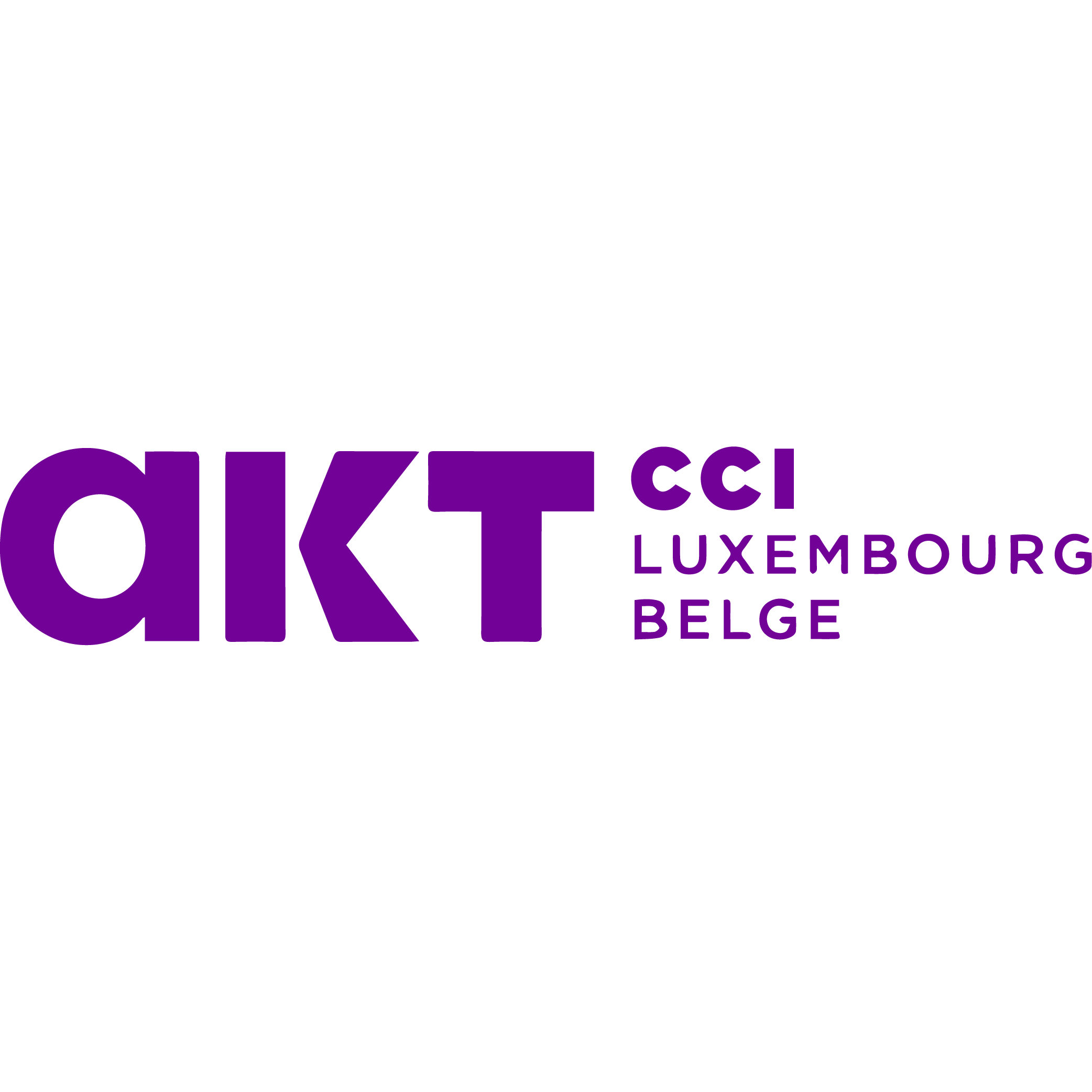 Logo AKT CCI LUXEMBOURG BELGE